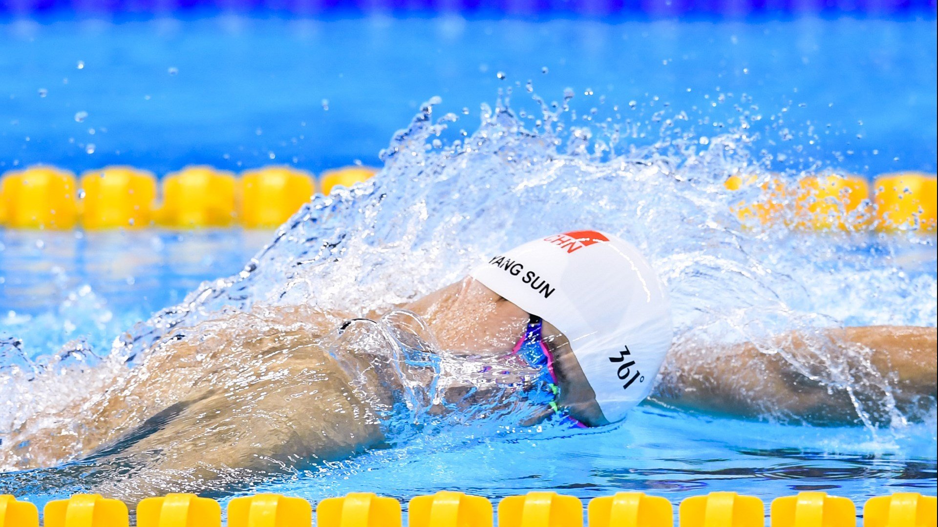 荷兰国家队备战备受关注，欧锦赛看台热闹，荷兰 欧锦赛